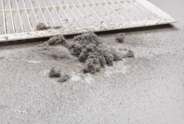 Best HVAC Maintenance and Cleaning  in Mount Vernon, IL